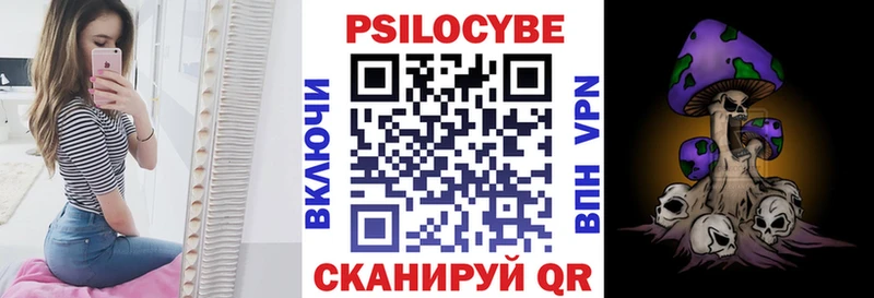 Галлюциногенные грибы Psilocybe  сайты даркнета формула  Новоульяновск 